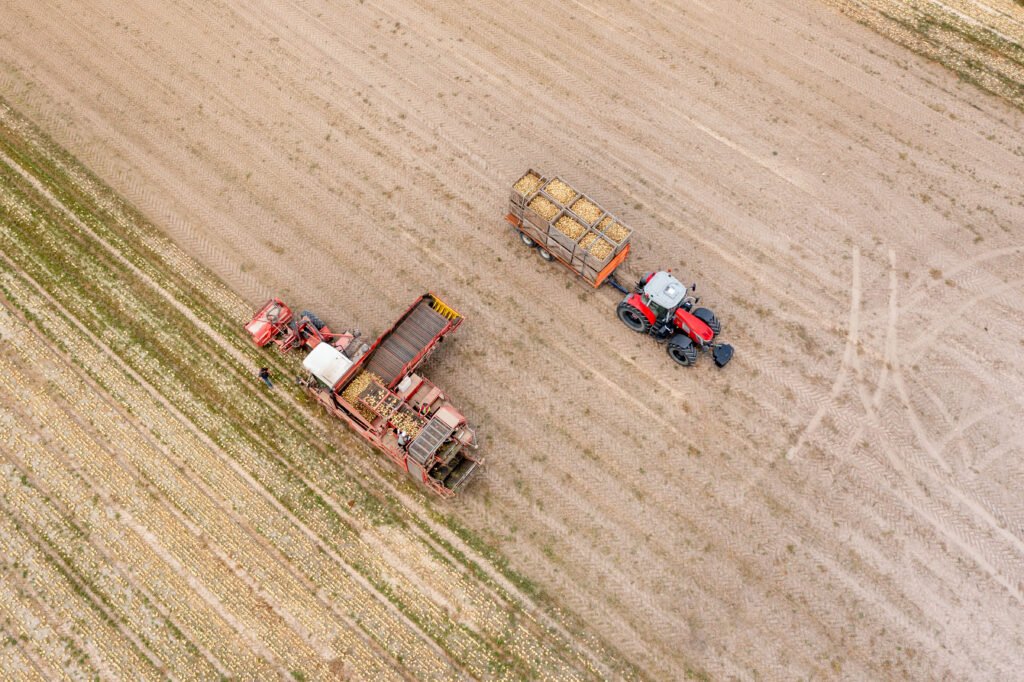 Mercadona-Origem-Cebola-118