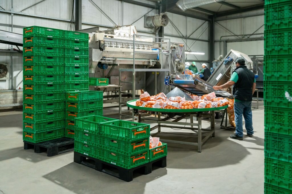 Mercadona-Origem-Cebola-4